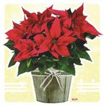 December 13, 2020 Third Sunday of Advent - Parishes Online