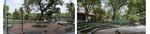 R-3 REVISED ACTION PLAN FOR CONTROL OF AIR POLLUTION IN NON-ATTAINMENT CITIES OF MAHARASHTRA SOLAPUR MUNICIPAL CORPORATION - CPCB
