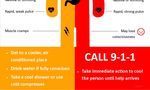 West Springfield Little League - Springfield, VA 22152 Phone 702.569.WSLL (9755) ID No. 03460906 WSLL Safety ...