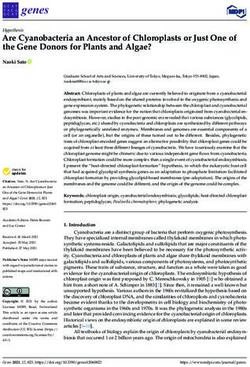 Are Cyanobacteria an Ancestor of Chloroplasts or Just One of the Gene Donors for Plants and Algae? - MDPI