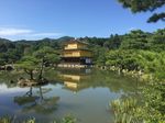 Enchanting Japan 09 Days with Cherry Blossom April 2019 - my kinda holidays