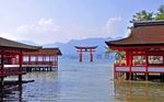 Enchanting Japan 09 Days with Cherry Blossom April 2019 - my kinda holidays