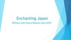 Enchanting Japan 09 Days with Cherry Blossom April 2019 - my kinda holidays