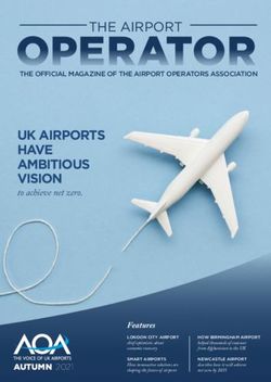 UK AIRPORTS HAVE AMBITIOUS VISION - to achieve net zero - The Airport ...