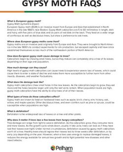 GYPSY MOTH FAQS - Town of Pelham