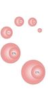 PROTEINS BY DESIGN XMAB ANTIBODY & CYTOKINE THERAPEUTICS - CORPORATE OVERVIEW JANUARY 2022