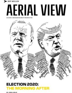 ELECTION 2020: THE MORNING AFTER - BNY Mellon