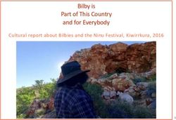 Bilby is Part of This Country and for Everybody - Cultural report about Bilbies and the Ninu Festival, Kiwirrkura, 2016 - Save the Bilby Fund