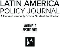 VOLUME 10 SPRING 2021 - Latin America Policy Journal