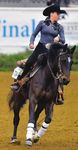Interscholastic Equestrian Association’s Media & Promotions Catalog