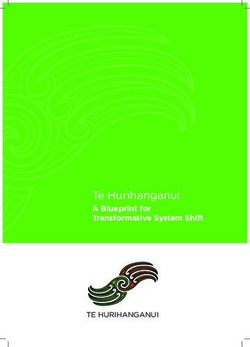 Te Hurihanganui A Blueprint for Transformative System Shift - TE HURIHANGANUI - Education.govt.nz
