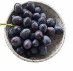 Grapes and Health: from Research to Table - with California Grapes