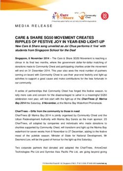 CARE & SHARE SG50 MOVEMENT CREATES RIPPLES OF FESTIVE JOY IN YEAR-END LIGHT-UP