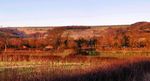 THE PERFECT, PEACEFUL, HOLIDAY HIDEAWAY IN THE YORKSHIRE WOLDS - Wolds Edge