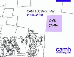 CAMH Strategic Plan 2020-2023