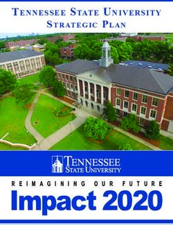 IMPACT 2020 - TENNESSEE STATE UNIVERSITY STRATEGIC PLAN