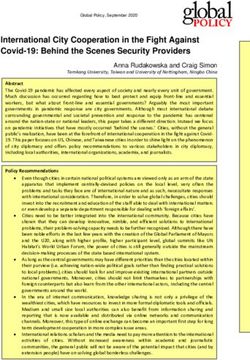 International City Cooperation in the Fight Against Covid-19: Behind the Scenes Security Providers