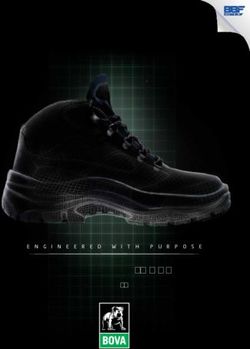 FOOTWEAR 2018 ENGINEERED WITH PURPOSE - Bova Safety Footwear