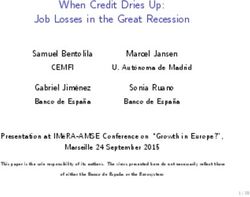 When Credit Dries Up: Job Losses in the Great Recession