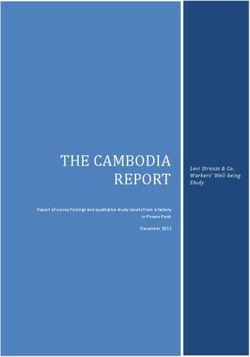 THE CAMBODIA REPORT Levi Strauss & Co. Workers' Well-being Study