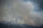 The causes and risks of the Amazon fires - Phys.org