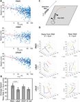 Dynamic swimming pattern of Pseudomonas aeruginosa near a vertical wall during initial attachment stages of biofilm formation - Nature