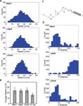 Dynamic swimming pattern of Pseudomonas aeruginosa near a vertical wall during initial attachment stages of biofilm formation - Nature