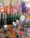 Golden Bay 125th A&P Show - BOOTH SCHEDULE 2022