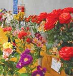 Golden Bay 125th A&P Show - BOOTH SCHEDULE 2022