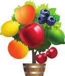 We can help you plan, plant and successfully harvest your own home-grown fruit year-round! - Decor Gardenworld