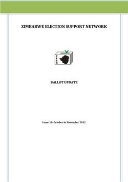 ZIMBABWE ELECTION SUPPORT NETWORK - BALLOT UPDATE