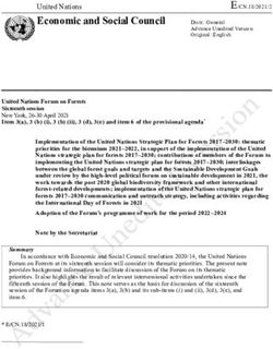 Economic and Social Council - United Nations - the United Nations