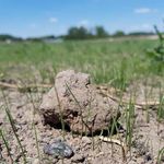 BOOKLET LUMAT PROJECT - MAY 2016 JULY 2019 - Interreg Central Europe
