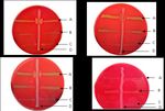 Human, cattle and goat blood as substitutes for sheep blood in blood-supplemented culture media