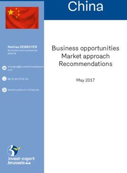 China Business opportunities Market approach Recommendations - May 2017 - Brussels Invest Export