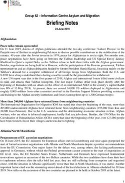 Briefing Notes Group 62 - Information Centre Asylum and Migration - BAMF