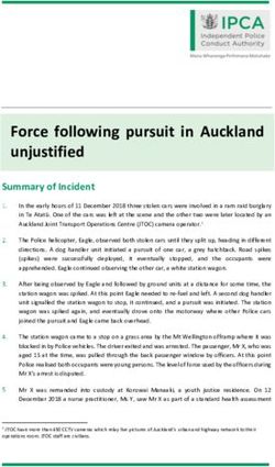 Force following pursuit in Auckland unjustified - Independent ...