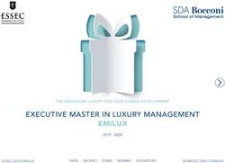 EXECUTIVE MASTER IN LUXURY MANAGEMENT - EMILUX THE NECESSARY LUXURY FOR YOUR CAREER DEVELOPMENT