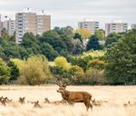Nature and the City Policies to enhance access to nature in cities William Nicolle Foreword by Tony Juniper CBE - Policy Exchange