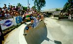 TONY HAWK Skateboarding 100 - dawnbrightsu.ca