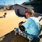 TONY HAWK Skateboarding 100 - dawnbrightsu.ca