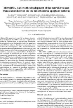 MicroRNA 1 affects the development of the neural crest and craniofacial skeleton via the mitochondrial apoptosis pathway
