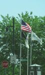 SHOPPING & SERVICES GUIDE 2020/2021 - villageofparkforest.com - Park Forest, IL