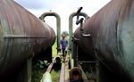 NEGLIGENCE IN THE NIGER DELTA - DECODING SHELL AND ENI'S POOR RECORD ON OIL SPILLS - Amnesty International Schweiz