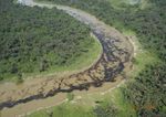 NEGLIGENCE IN THE NIGER DELTA - DECODING SHELL AND ENI'S POOR RECORD ON OIL SPILLS - Amnesty International Schweiz
