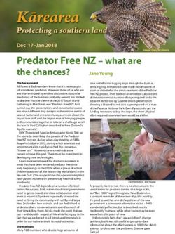 Kārearea Protecting a southern land Dec '17-Jan 2018 - Forest and Bird