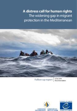 A distress call for human rights - The widening gap in migrant protection in the Mediterranean - Council of Europe
