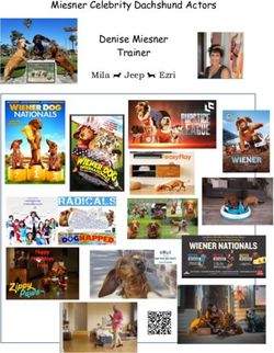 Miesner Celebrity Dachshund Actors Denise Miesner Trainer - Mila