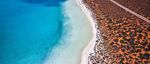 SHARK BAY INVESTMENT PROSPECTUS