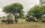 Wildlife Safari Weekend Trip - Plan My Gap Year